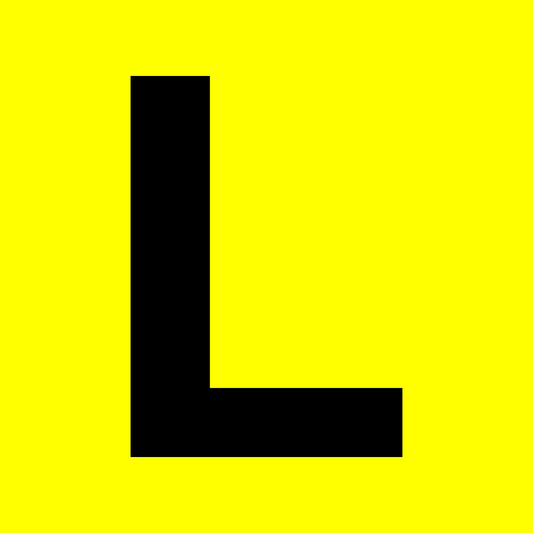 Learner License Magnetic Plate